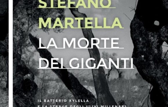 LA MORTE DEI GIGANTI. Il batterio xylella e la strage degli ulivi millenari. (di Cosimo Zullo)